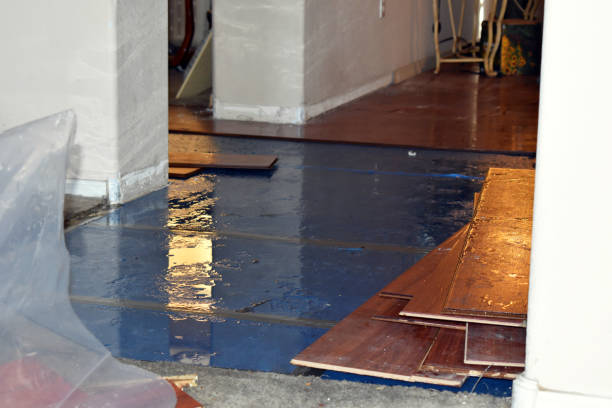 Professional Water Damage Restoration technician working in Sartell, MN